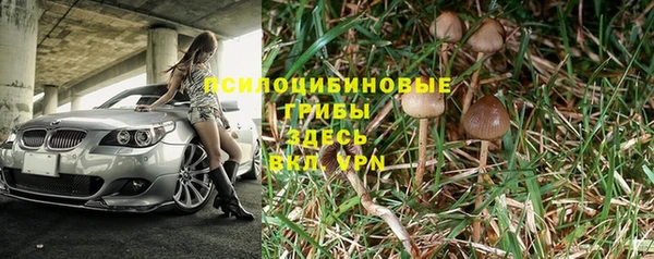 прущая мука Гусиноозёрск