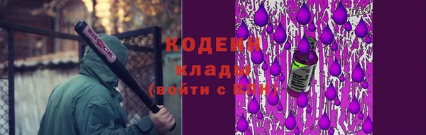 прущие грибы Горно-Алтайск