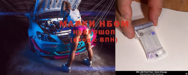 прущие грибы Горно-Алтайск