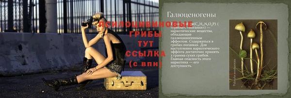 кокс Гусев