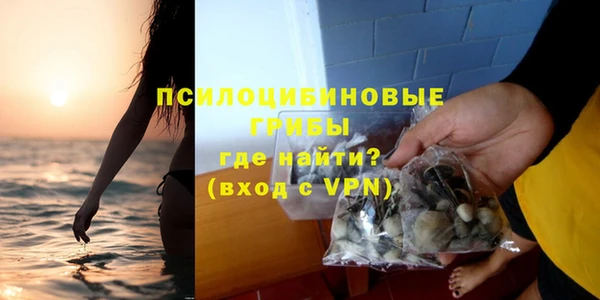 кокс Гусев