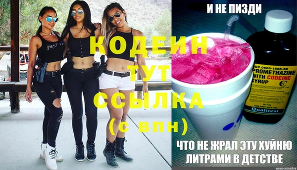 прущие грибы Горно-Алтайск