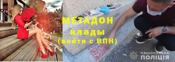 прущие грибы Горно-Алтайск