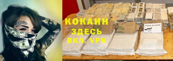 дурь Горняк