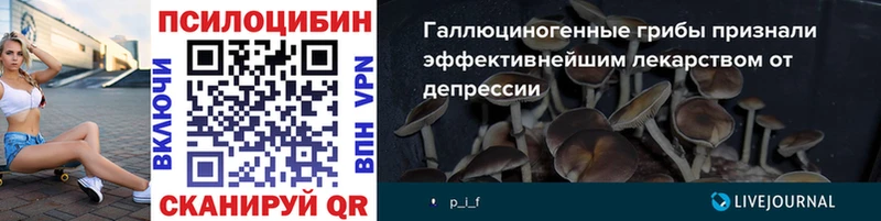 Псилоцибиновые грибы GOLDEN TEACHER Мещовск